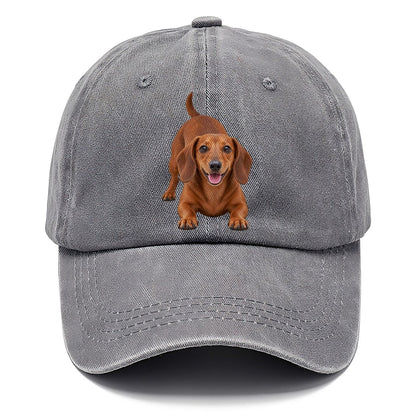 Dachshund Play Bow Top Breeds Classic Cap – Urban Haze