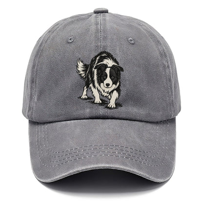 Border Collie Crouch Classic Cap – Urban Haze