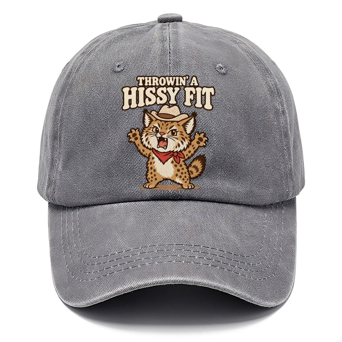 Throwin' A Hissy Fit Well I Declare Classic Cap – Urban Haze