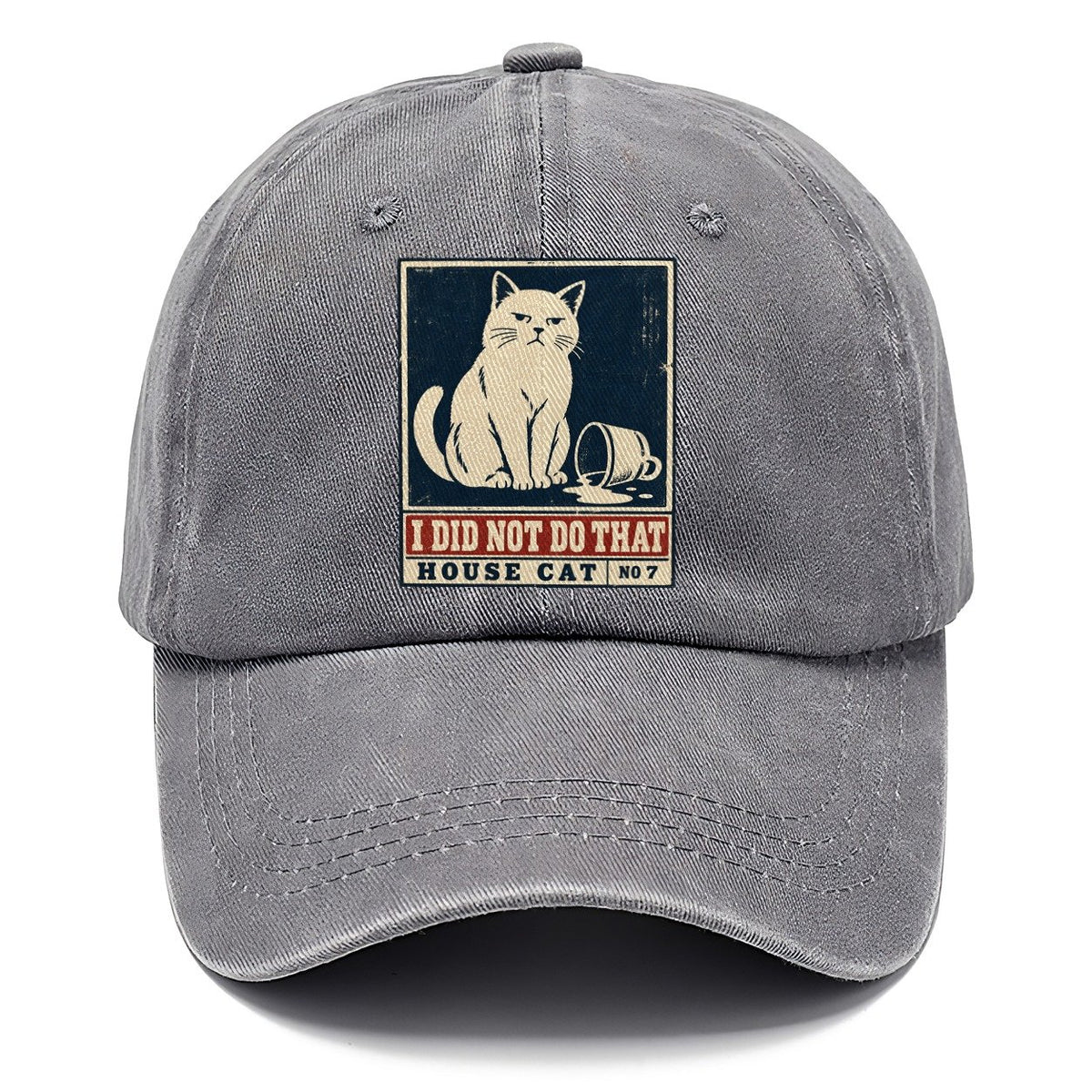 I Did Not Do That Neko Says No Classic Cap – Urban Haze