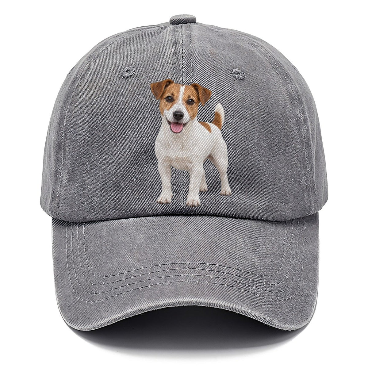 Jack Russell Terrier Standing Top Breeds Classic Cap – Urban Haze