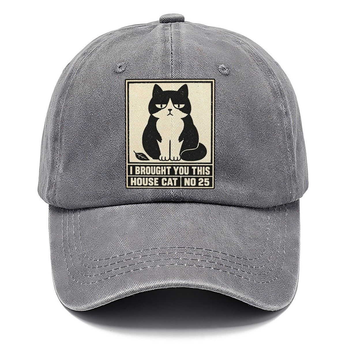 I Brought You This Neko Says No Classic Cap – Urban Haze
