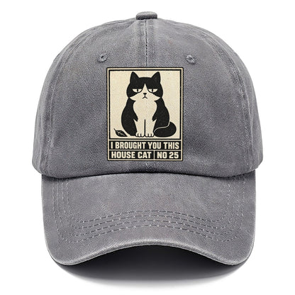 I Brought You This Neko Says No Classic Cap – Urban Haze