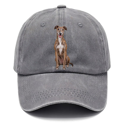Greyhound Sitting Top Breeds Classic Cap – Urban Haze