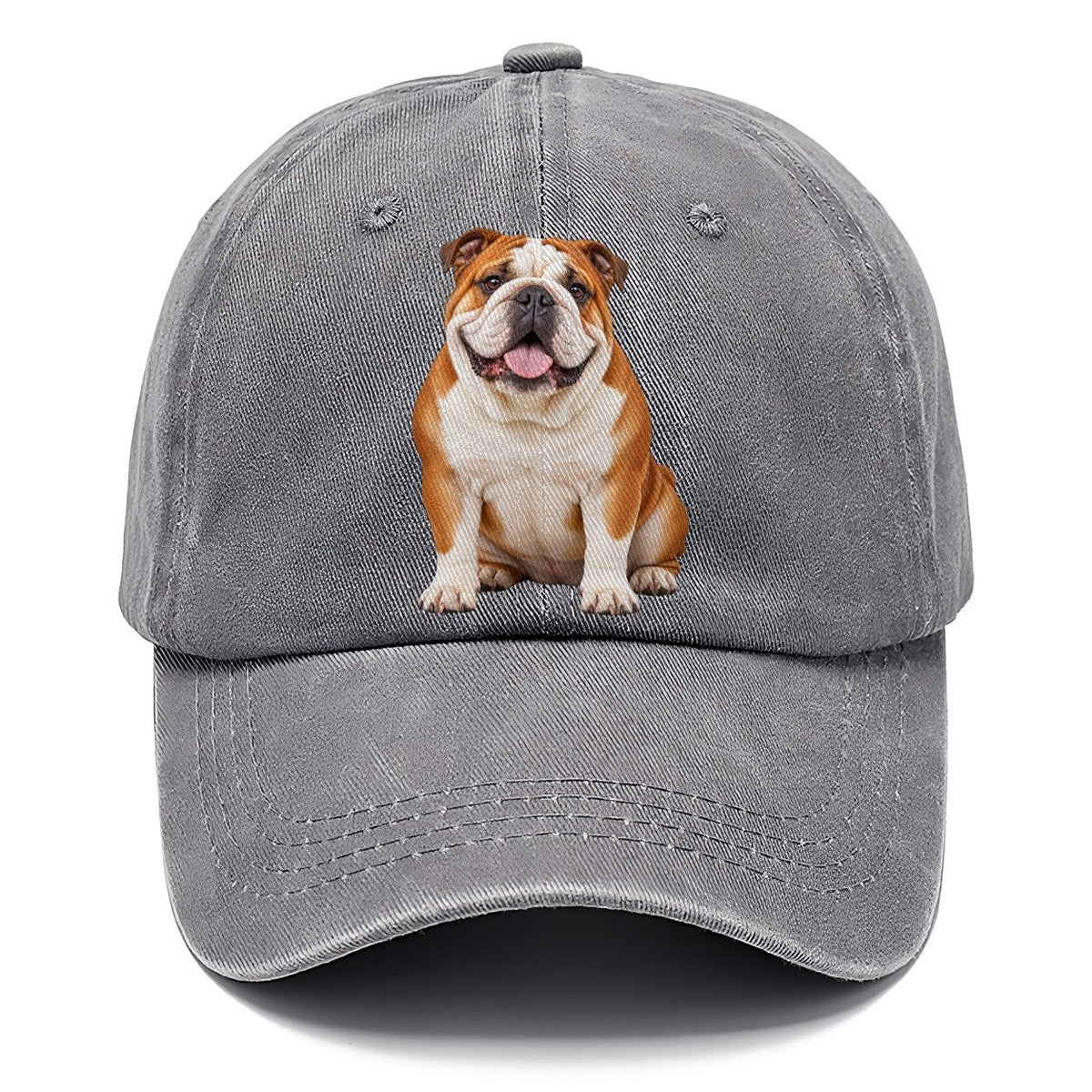 English Bulldog Sitting Top Breeds Classic Cap – Urban Haze