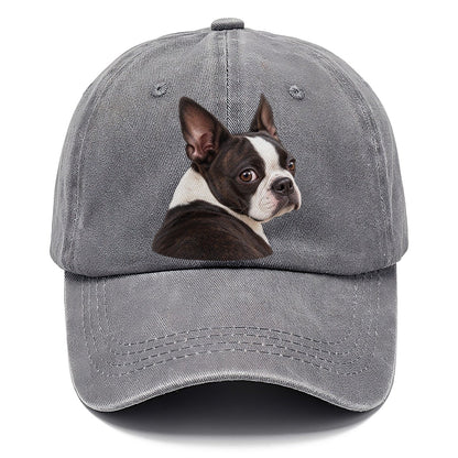 Boston Terrier Over The Shoulder Character Club Classic Cap – Urban Haze