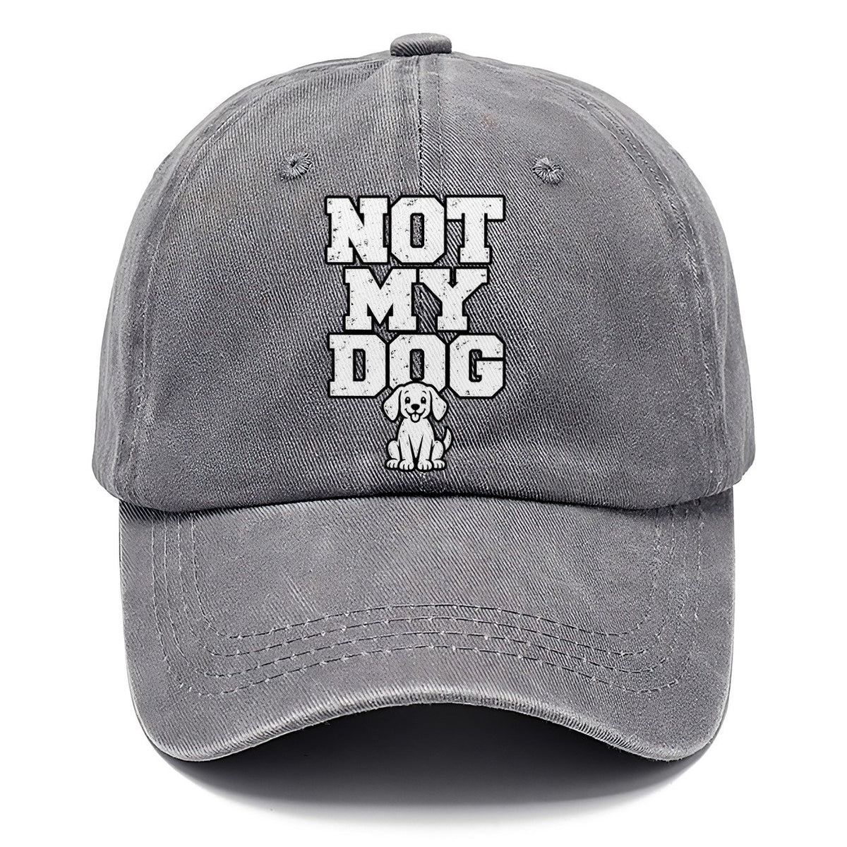 Not My Dog Classic Cap – Urban Haze