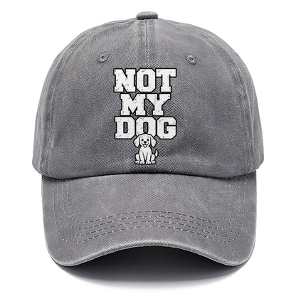 Not My Dog Classic Cap – Urban Haze