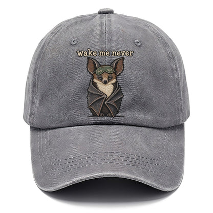 Wake Me Never Strongly Worded Classic Cap – Urban Haze