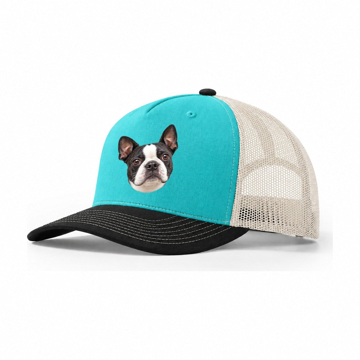 Boston Terrier Curious Lean Everyday Originals Trucker Hat – Aqua Black White