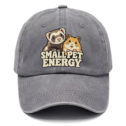 Small Pet Energy Small Pet Logos Classic Cap – Urban Haze
