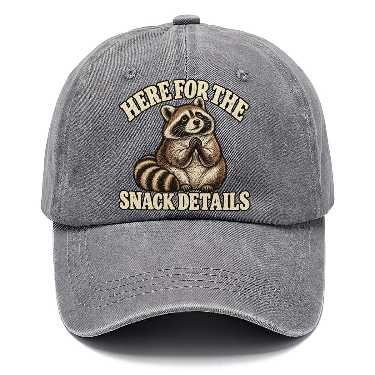 Raccoon Snack Details Character Club Classic Cap – Urban Haze