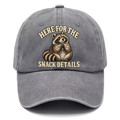 Raccoon Snack Details Character Club Classic Cap – Urban Haze