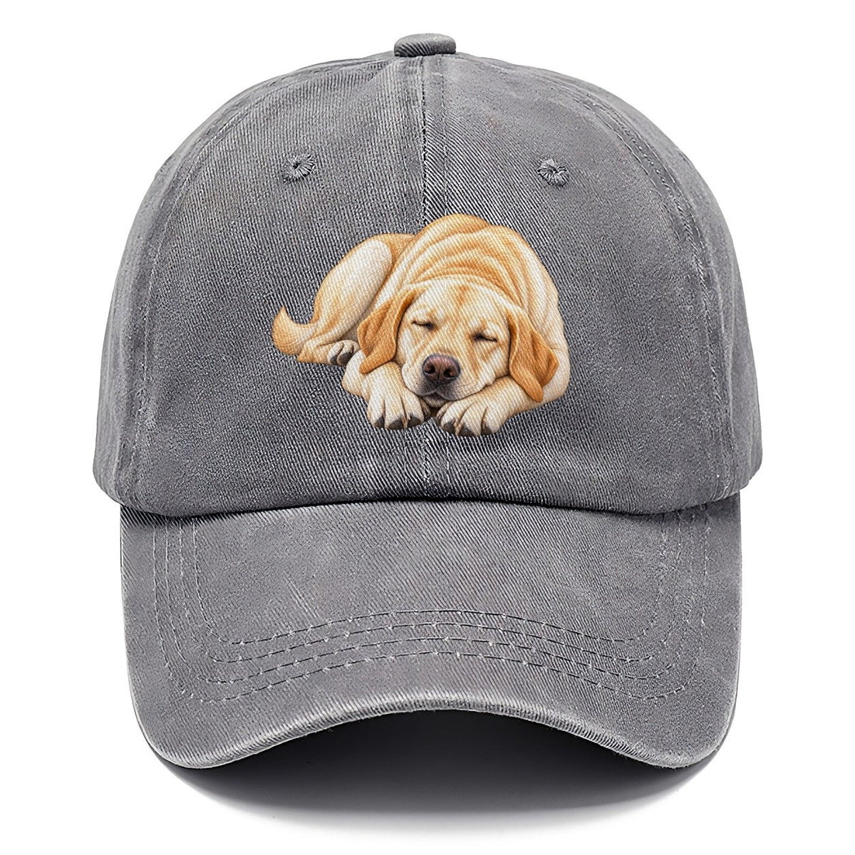Abstract Labrador Play Bow Classic Cap – Urban Haze