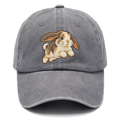 Rabbit Gentle Hop Small Pet Logos Classic Cap – Urban Haze