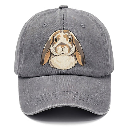 Lop Rabbit Soft Ears Small Pet Logos Classic Cap – Urban Haze