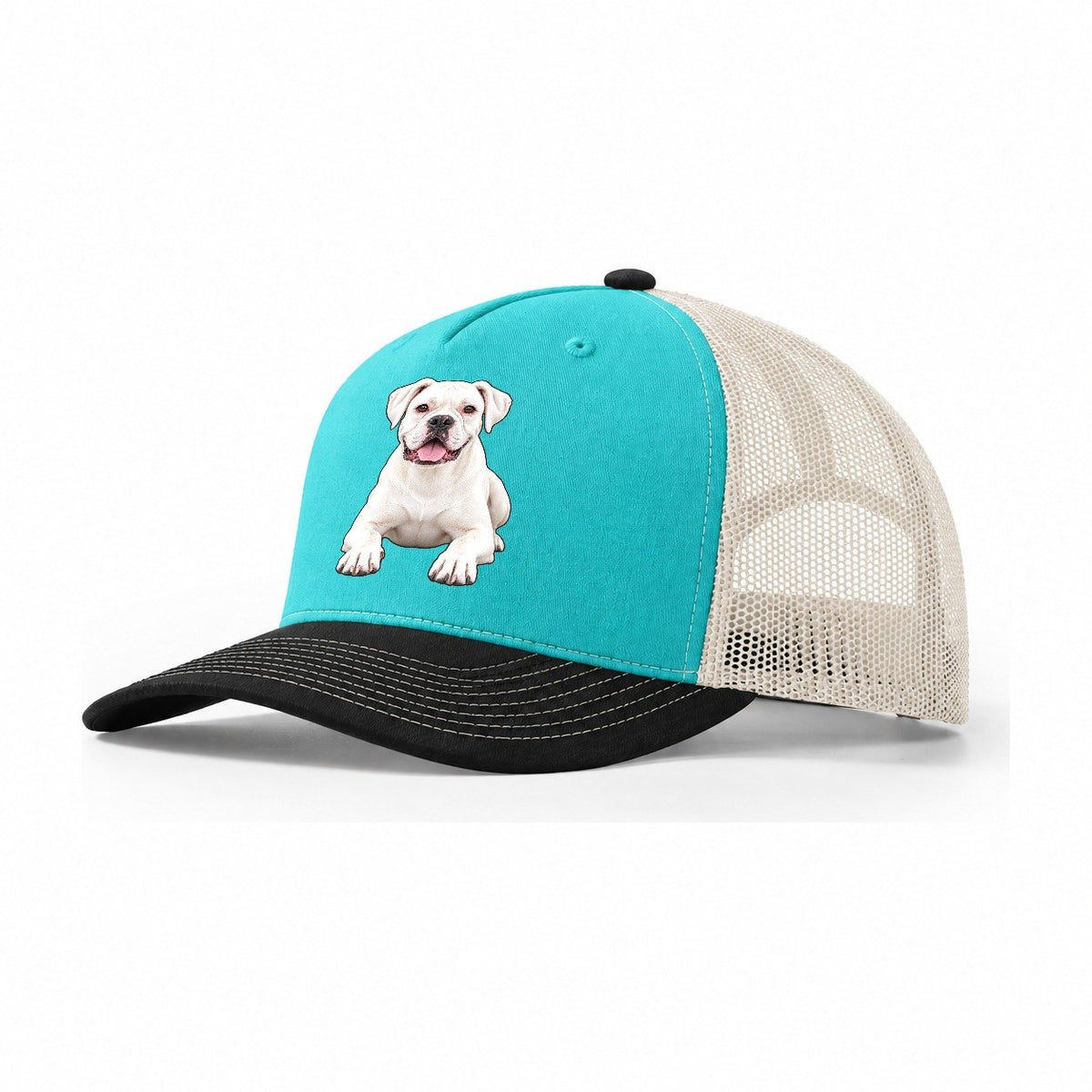 White Boxer Trucker Hat – Aqua Black White