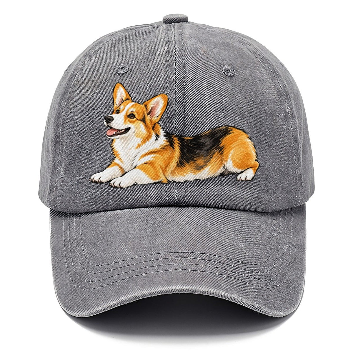 Lying Corgi Classic Cap – Urban Haze