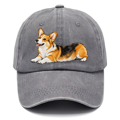 Lying Corgi Classic Cap – Urban Haze