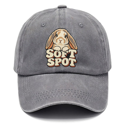 Soft Spot Small Pet Logos Classic Cap – Urban Haze