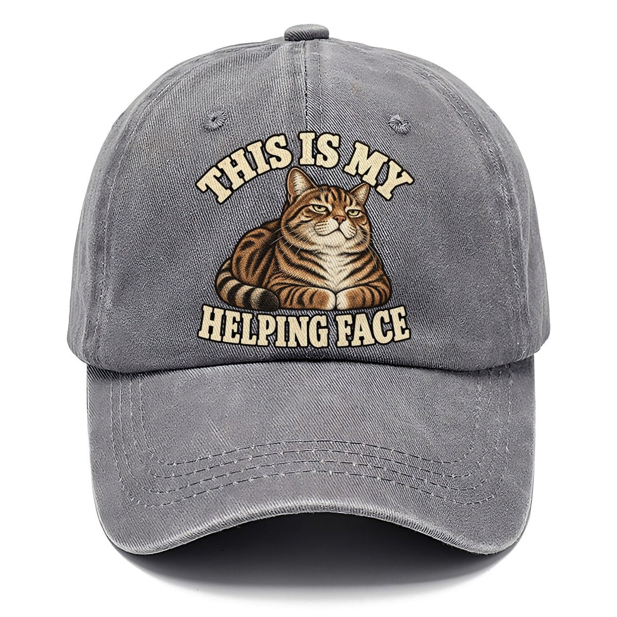 Tabby Helping Face Character Club Classic Cap – Urban Haze