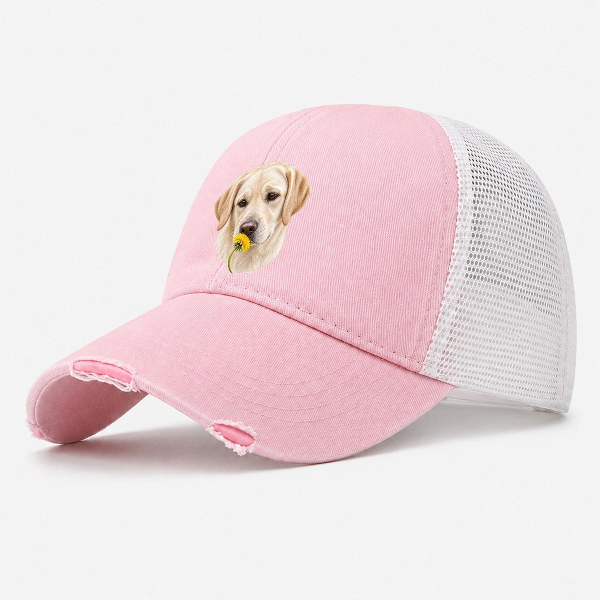 Cream Labrador Dandelion Pause Pastimes Companions Washed Trucker Hat – Light Pink