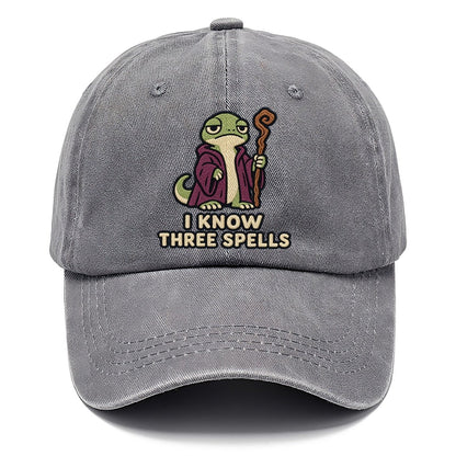Lizard Mage Weary Court Classic Cap – Urban Haze