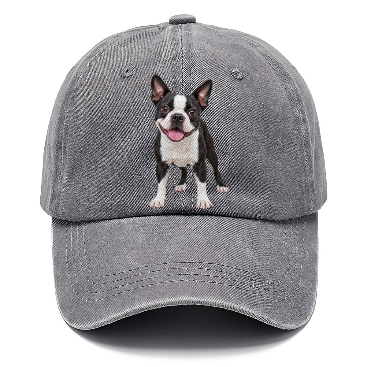 Boston Terrier Standing Top Breeds Classic Cap – Urban Haze