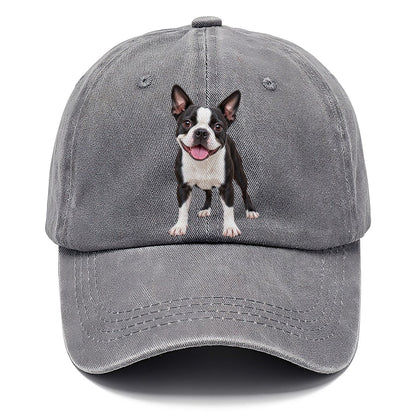 Boston Terrier Standing Top Breeds Classic Cap – Urban Haze