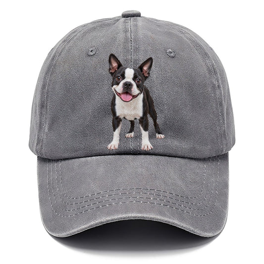 Boston Terrier Standing Top Breeds Classic Cap – Urban Haze