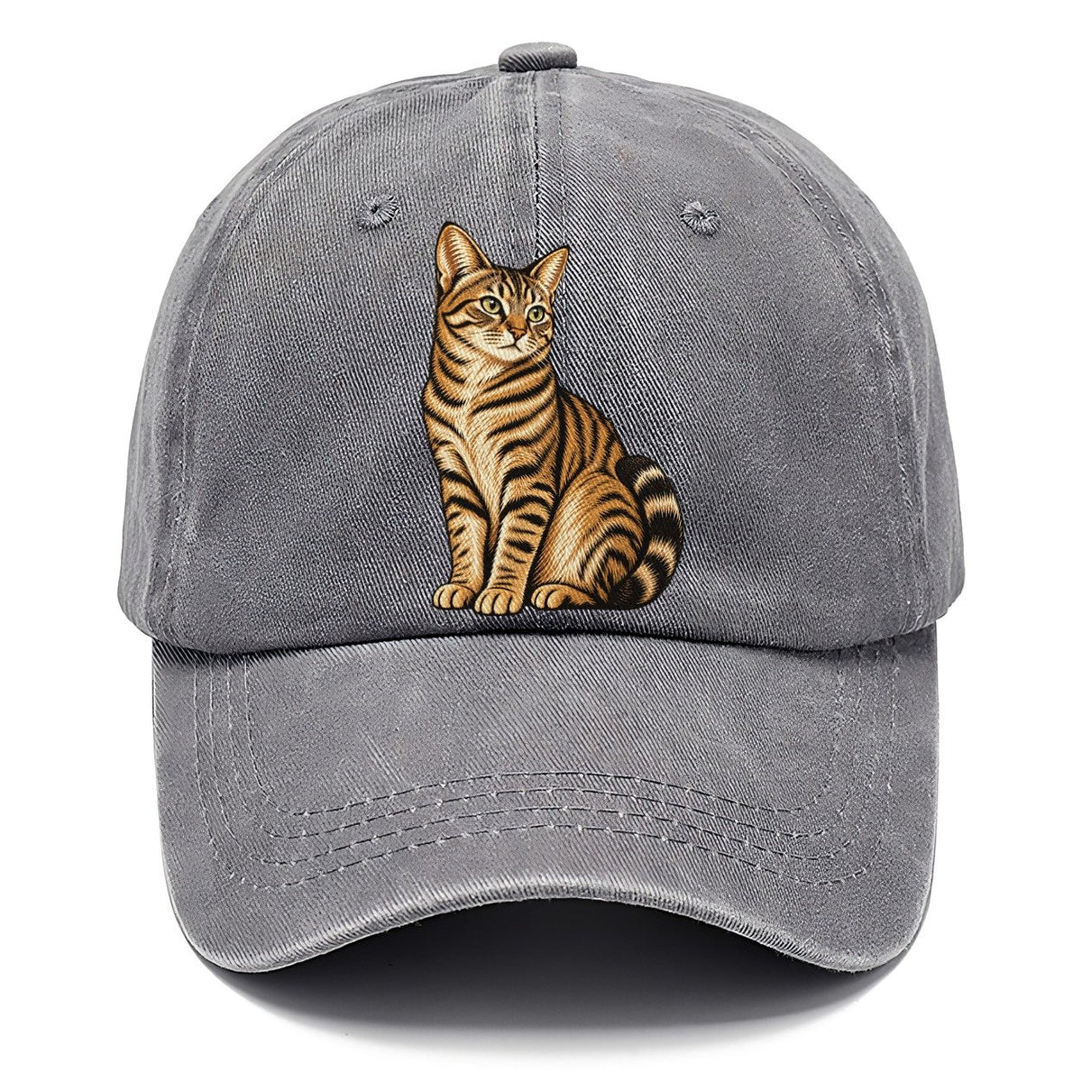 Sitting Tabby Cat Classic Cap – Urban Haze