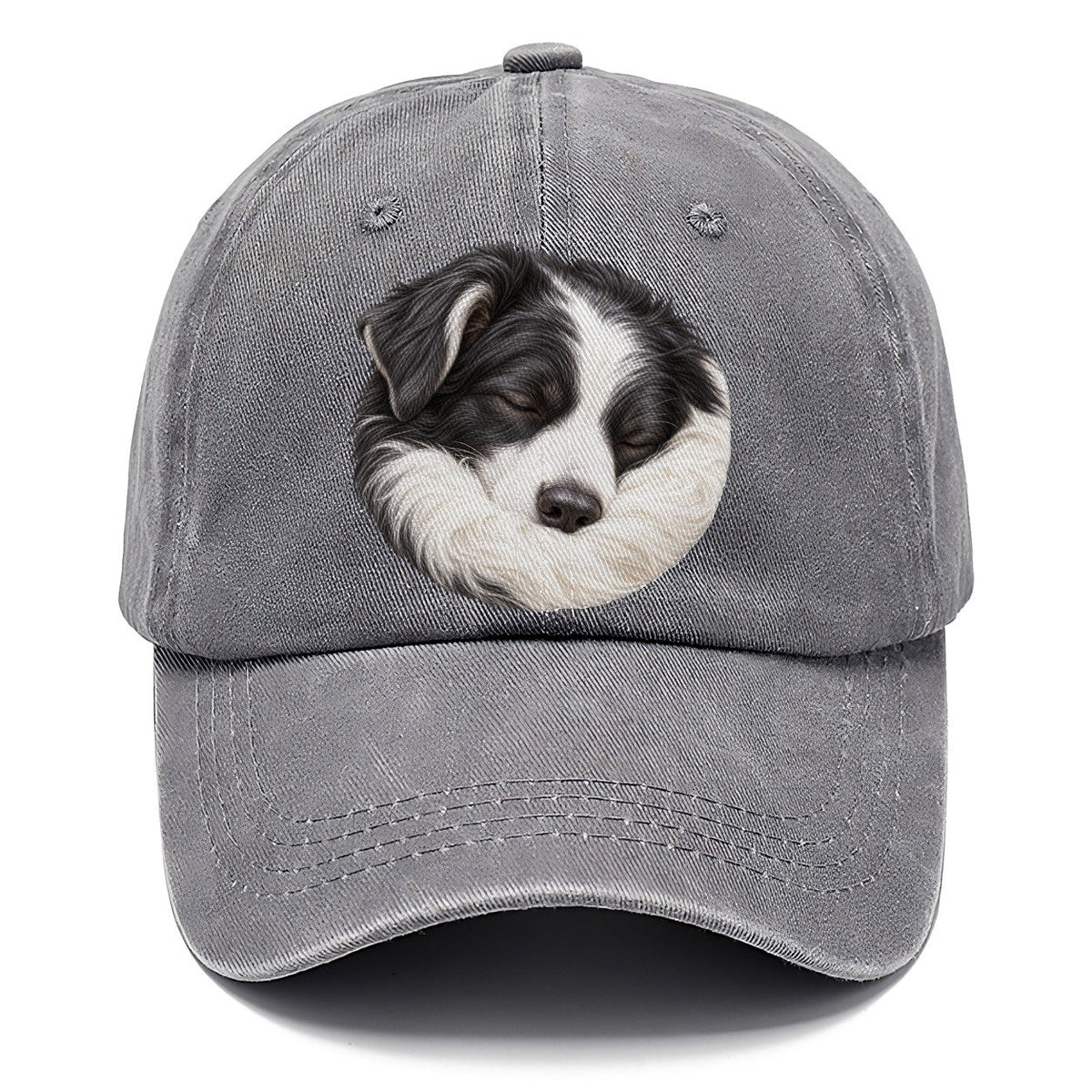 Border Collie Ruff Tuck Pastimes Companions Classic Cap – Urban Haze