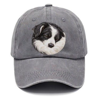 Border Collie Ruff Tuck Pastimes Companions Classic Cap – Urban Haze