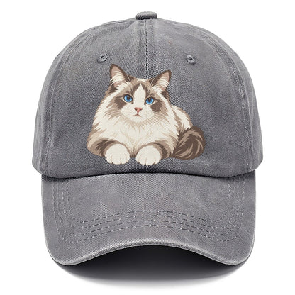 Ragdoll Reclining Paws Forward Realistic Cat Portrait Classic Cap – Urban Haze