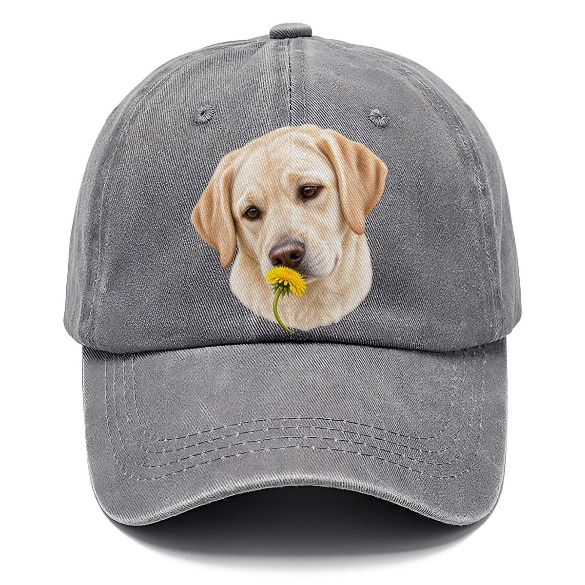 Cream Labrador Dandelion Pause Pastimes Companions Classic Cap – Urban Haze