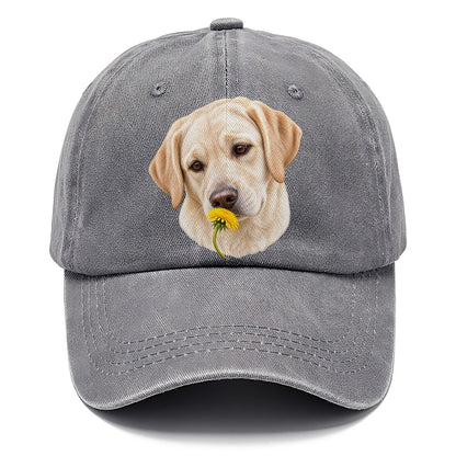 Cream Labrador Dandelion Pause Pastimes Companions Classic Cap – Urban Haze