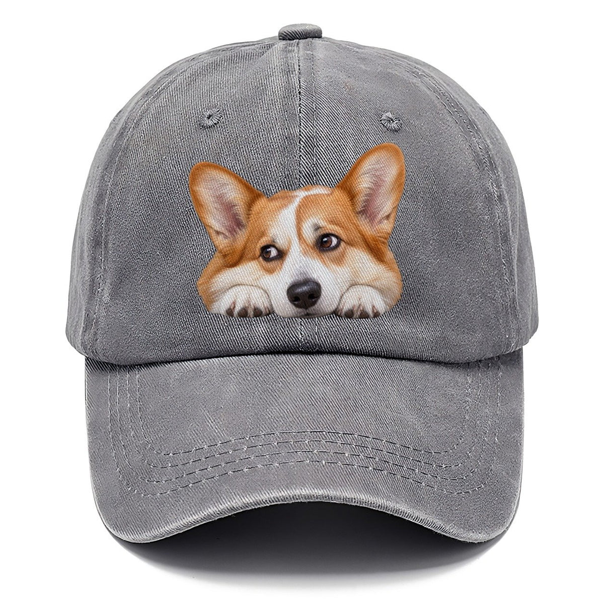 Corgi Resting Chin Character Club Classic Cap – Urban Haze