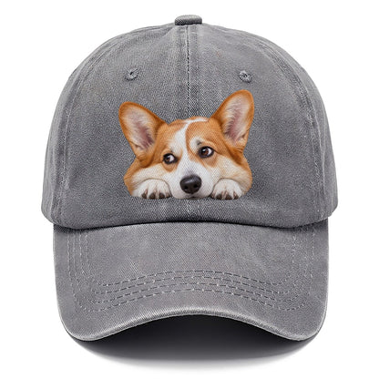 Corgi Resting Chin Character Club Classic Cap – Urban Haze