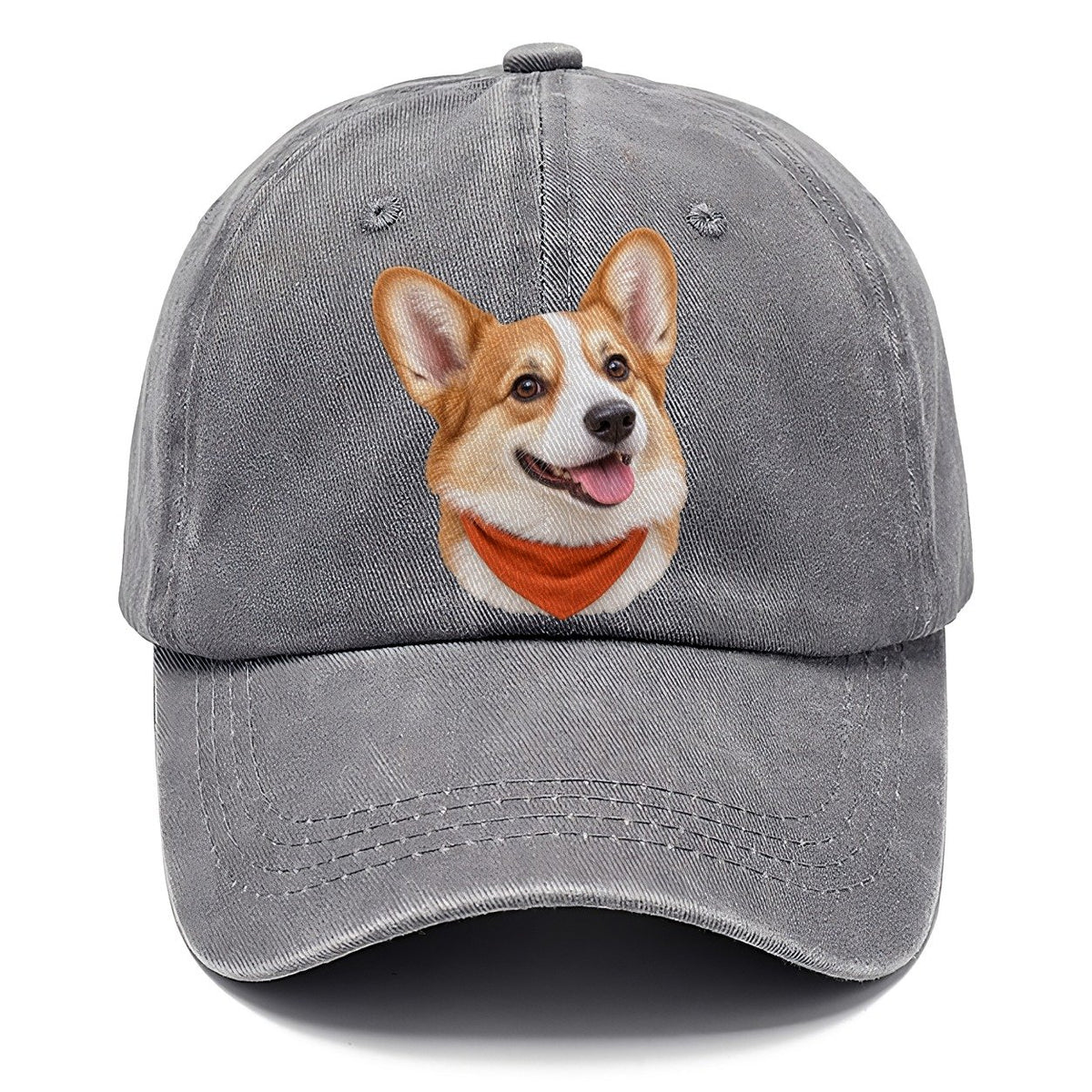 Corgi Autumn Bandana Character Club Classic Cap – Urban Haze