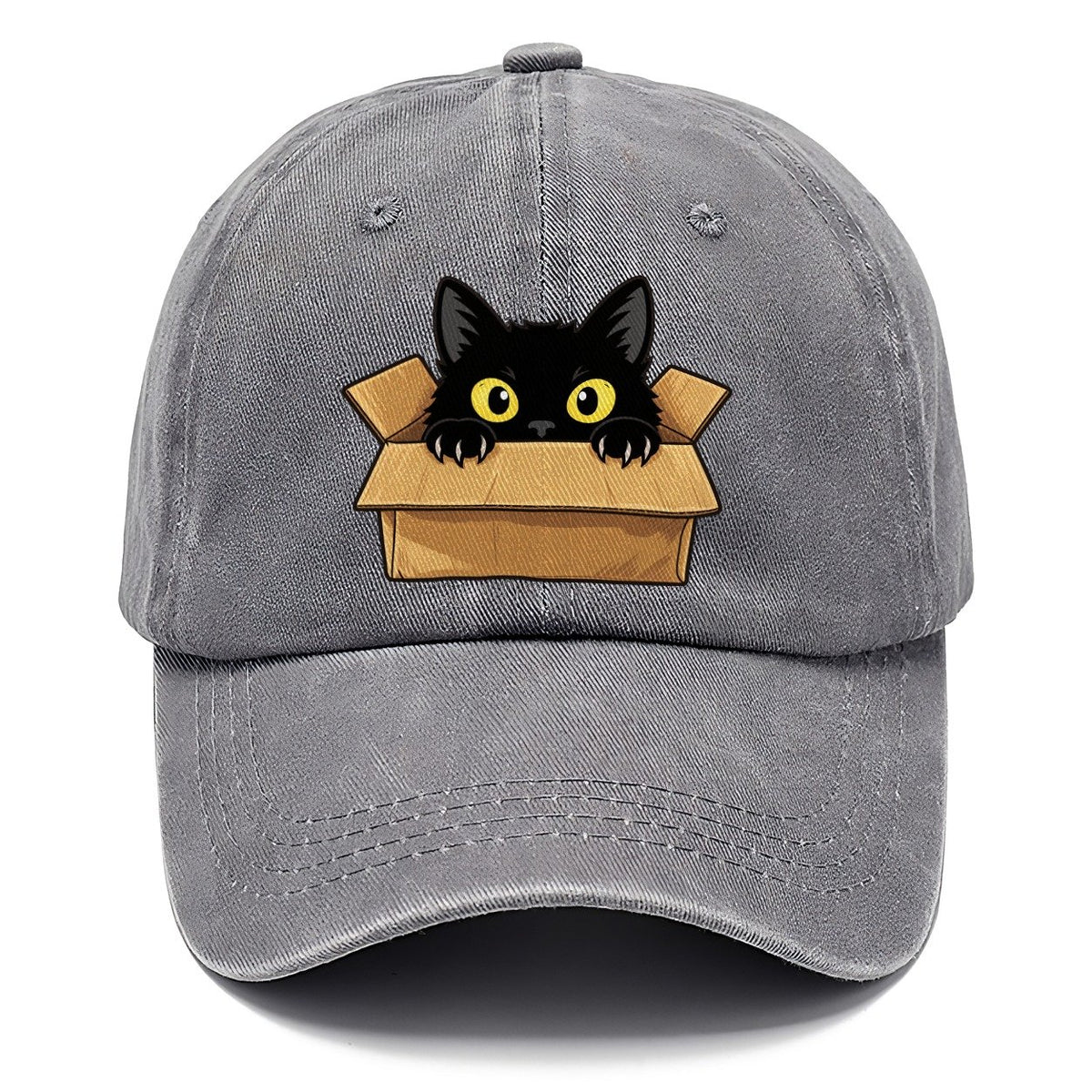 Black Cat Cardboard Box Fan Favorites Classic Cap – Urban Haze