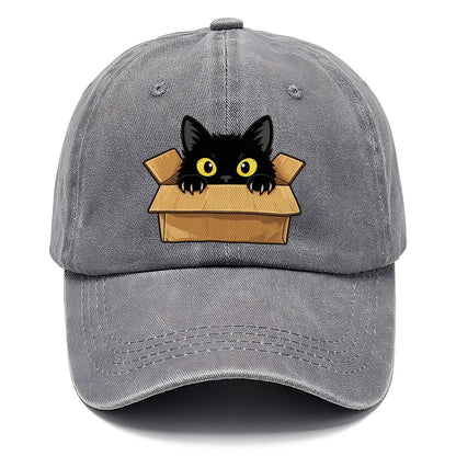 Black Cat Cardboard Box Fan Favorites Classic Cap – Urban Haze
