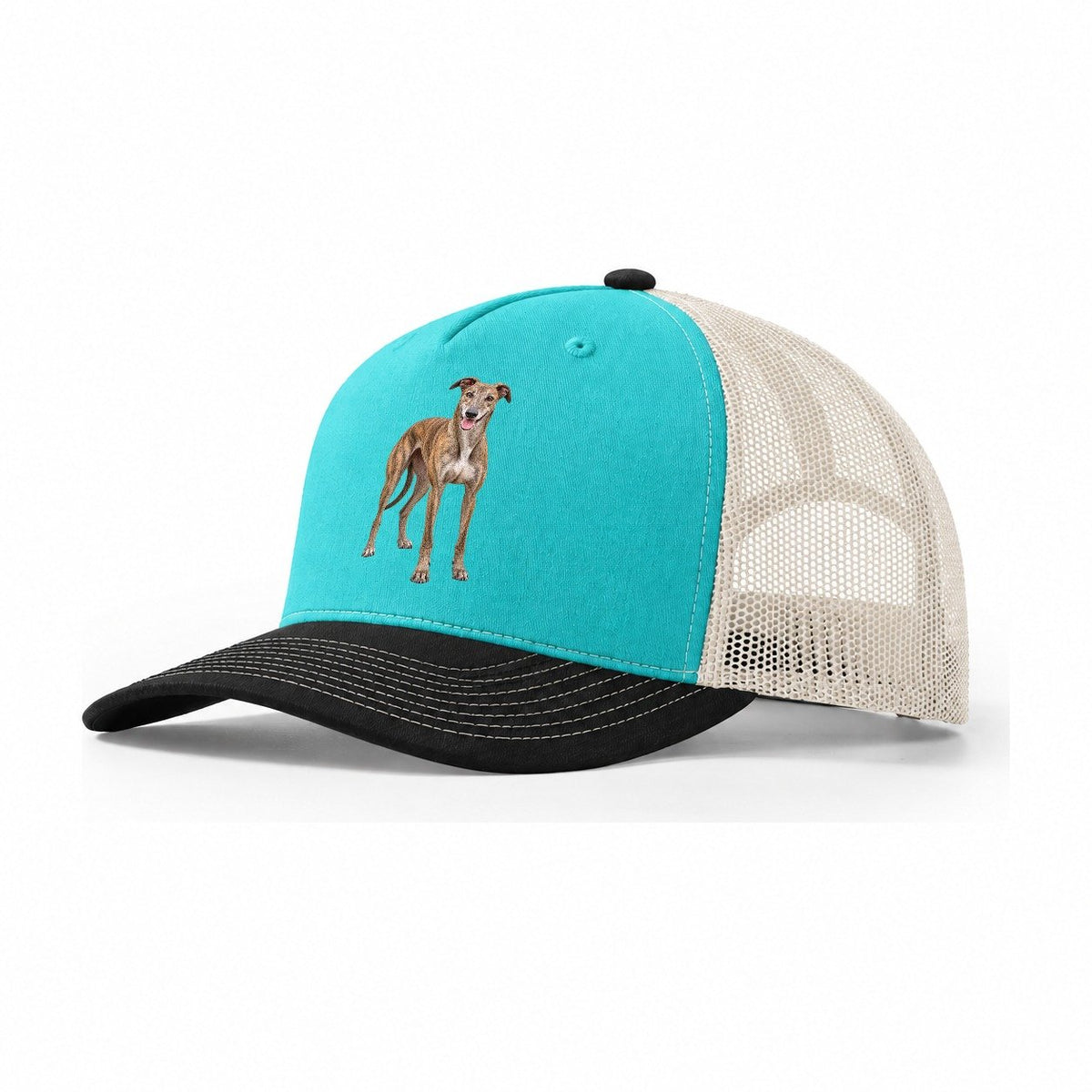 Greyhound Standing Top Breeds Trucker Hat – Aqua Black White