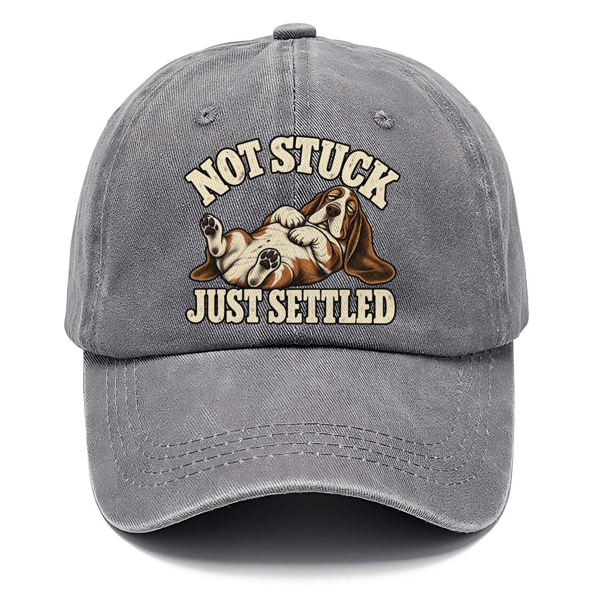 Basset Comfortably Settled Character Club Classic Cap – Urban Haze