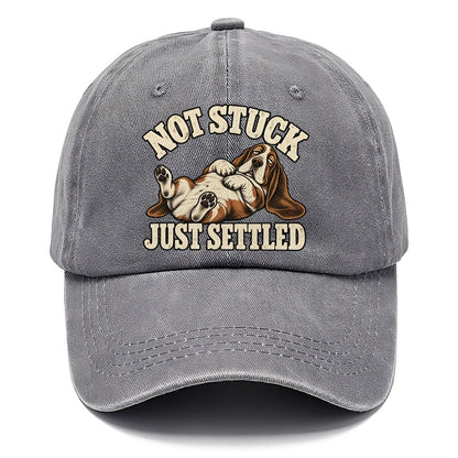 Basset Comfortably Settled Character Club Classic Cap – Urban Haze