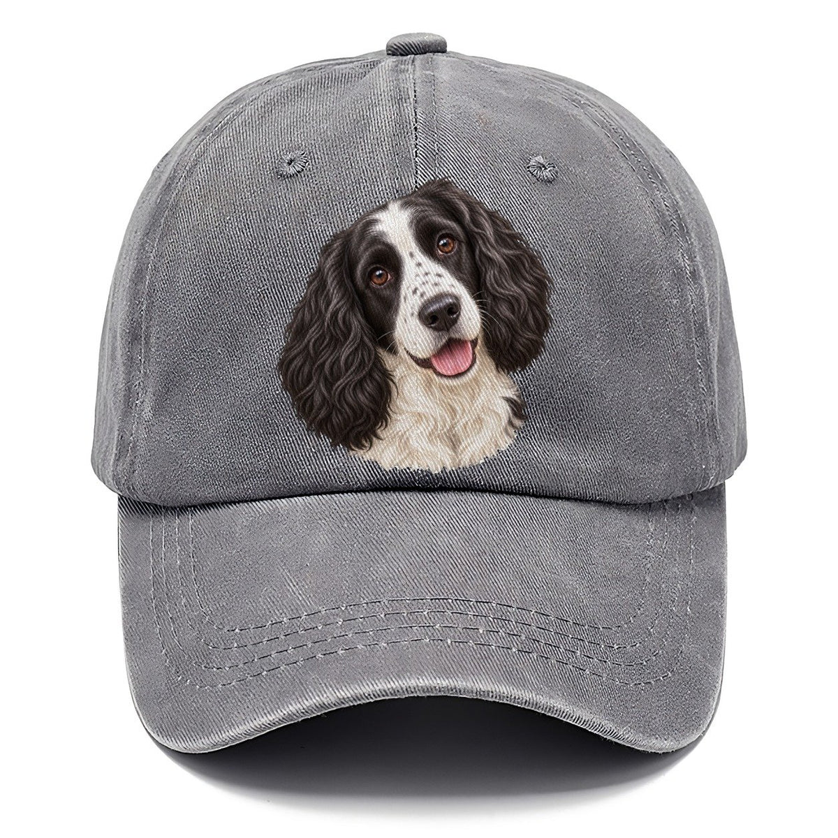 Springer Black And White Tilt Pastimes Companions Classic Cap – Urban Haze