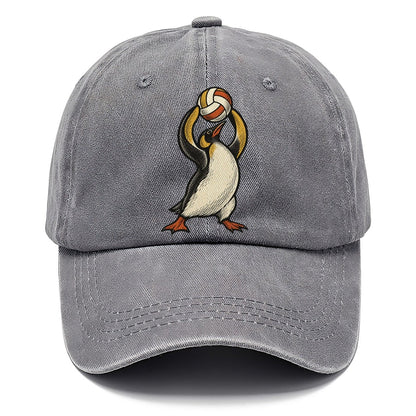 Penguin Volleyball Setter Sundown Familiars Classic Cap – Urban Haze