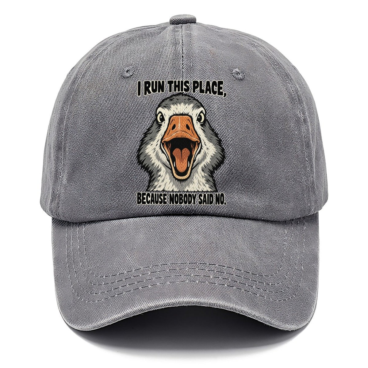 I Run This Place Feral Logic Classic Cap – Urban Haze