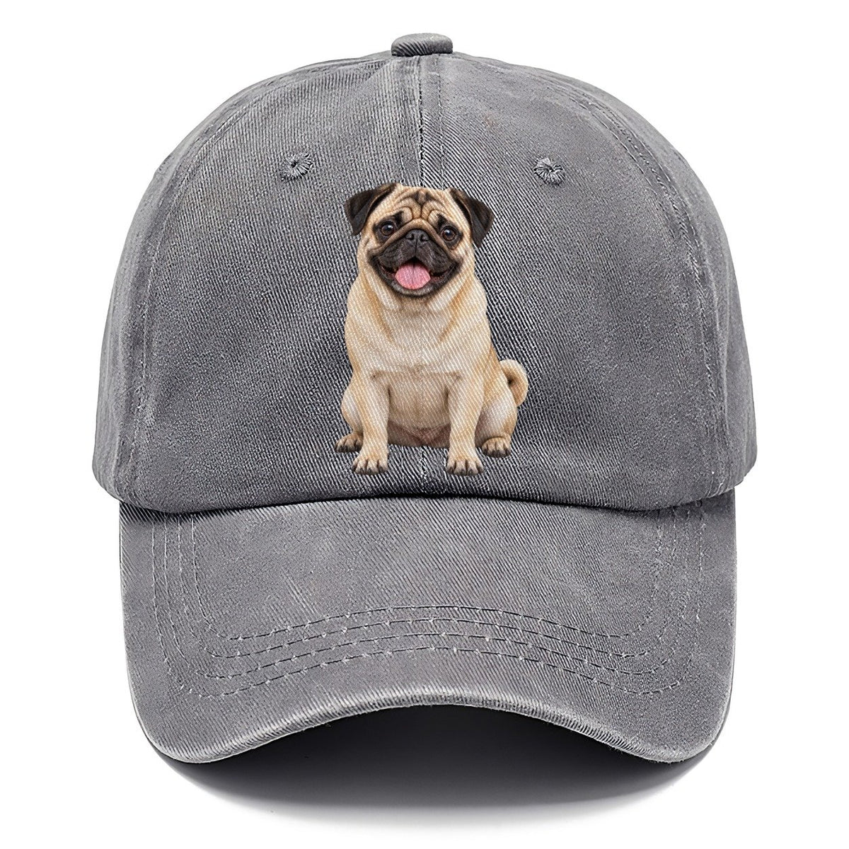 Pug Sitting Top Breeds Classic Cap – Urban Haze