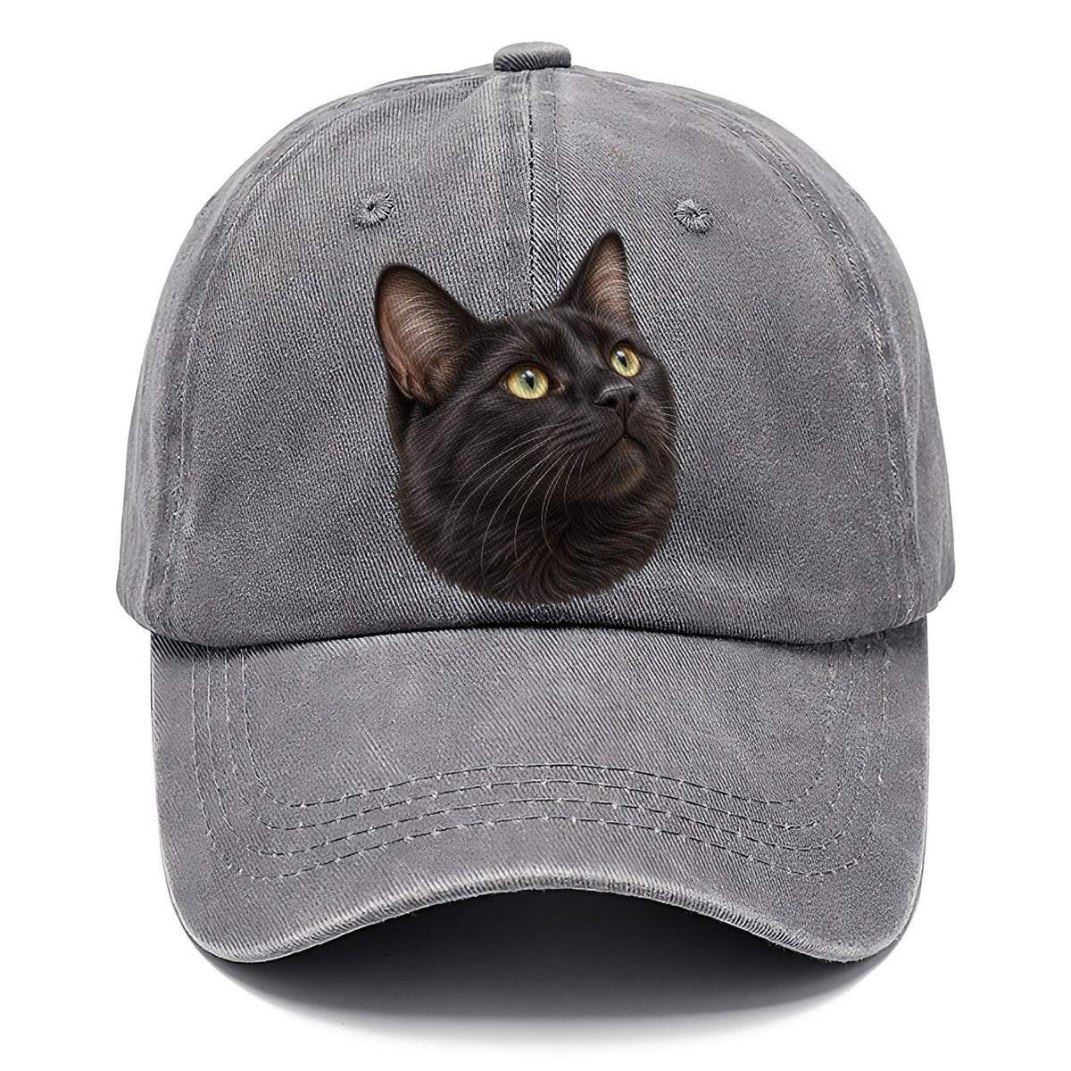 Black Cat Upturned Whiskers Pastimes Companions Classic Cap – Urban Haze