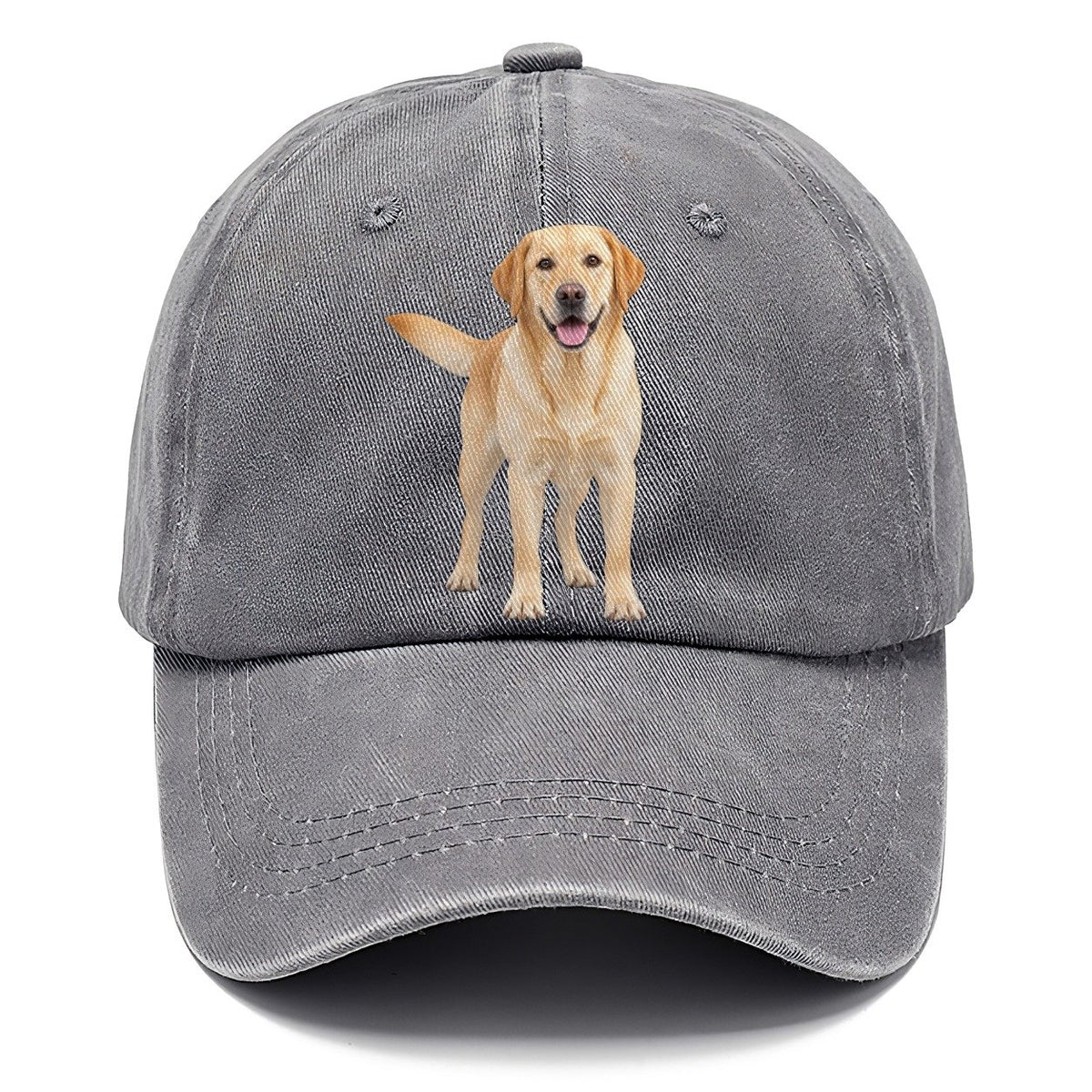 Labrador Retriever Standing Top Breeds Classic Cap – Urban Haze